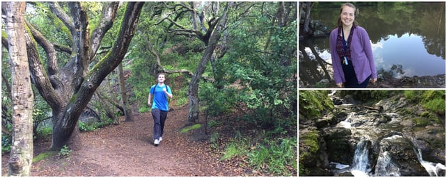 CIP Berkeley - Wellness at Lake Anza CIP Berkeley - Wellness at Lake Anza