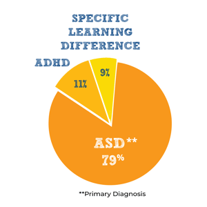 SUMMER-2025-INFOGRAPHICS_PIECHART