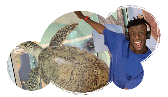 SUMMER-EMAIL-CLOUD-IMAGES_D